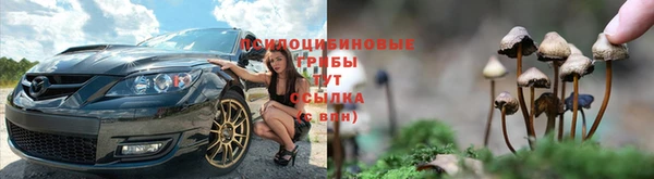 МДМА Лагань