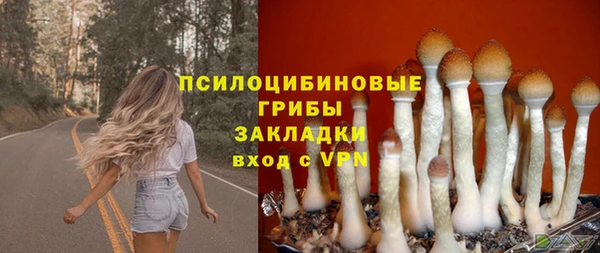 бутират Лабытнанги