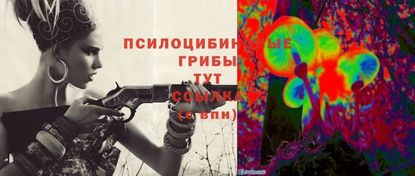 МДМА Лагань