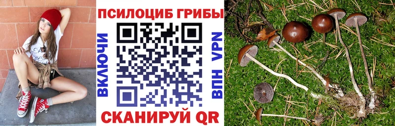 что такое   Черноголовка  Галлюциногенные грибы мицелий 